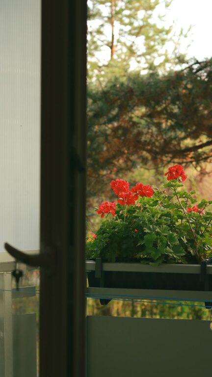 Jak przygotować balkon na sezon spędzania czasu na świeżym powietrzu